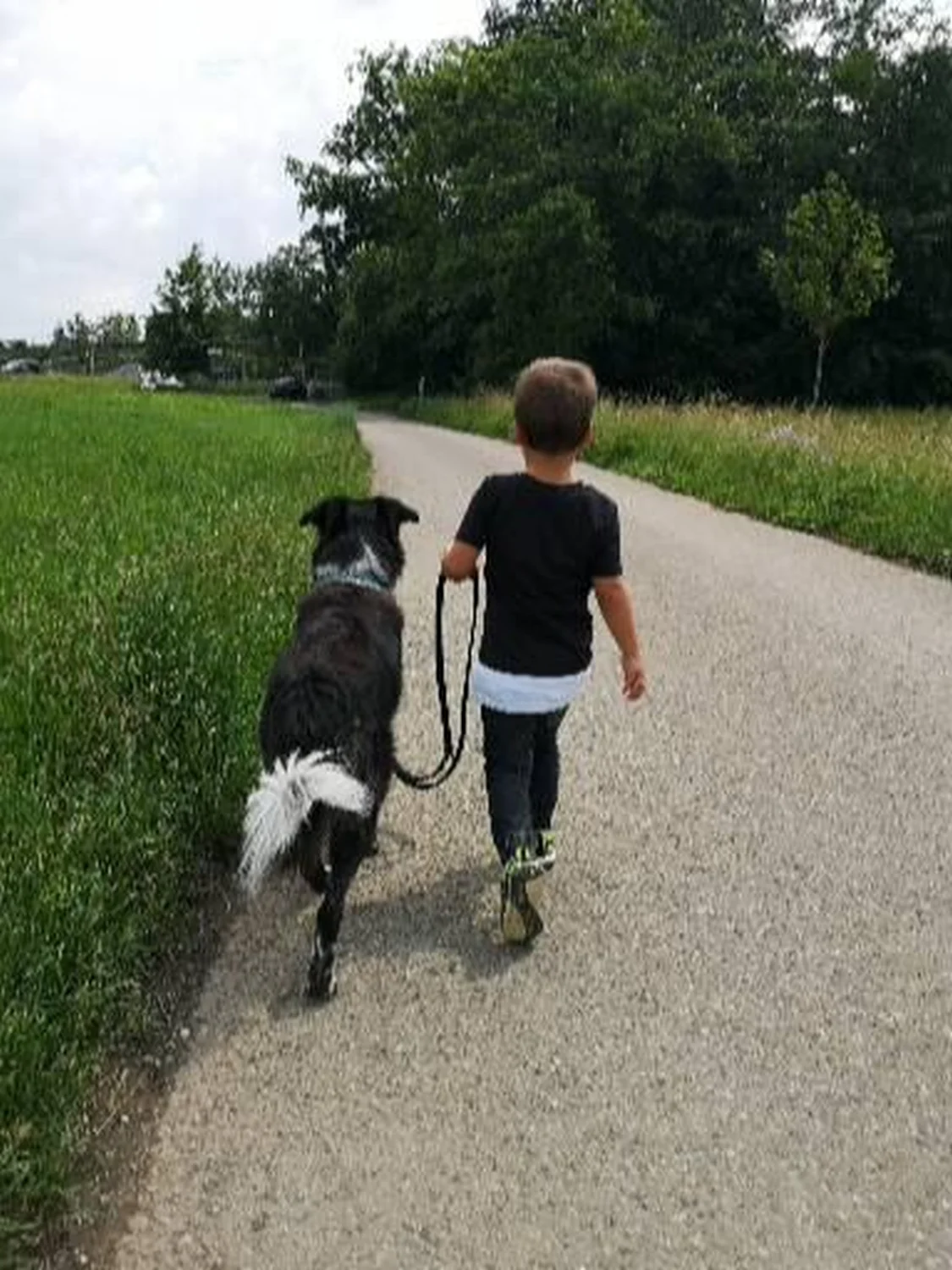 Kind mit Hund von Gemeinsam Stark