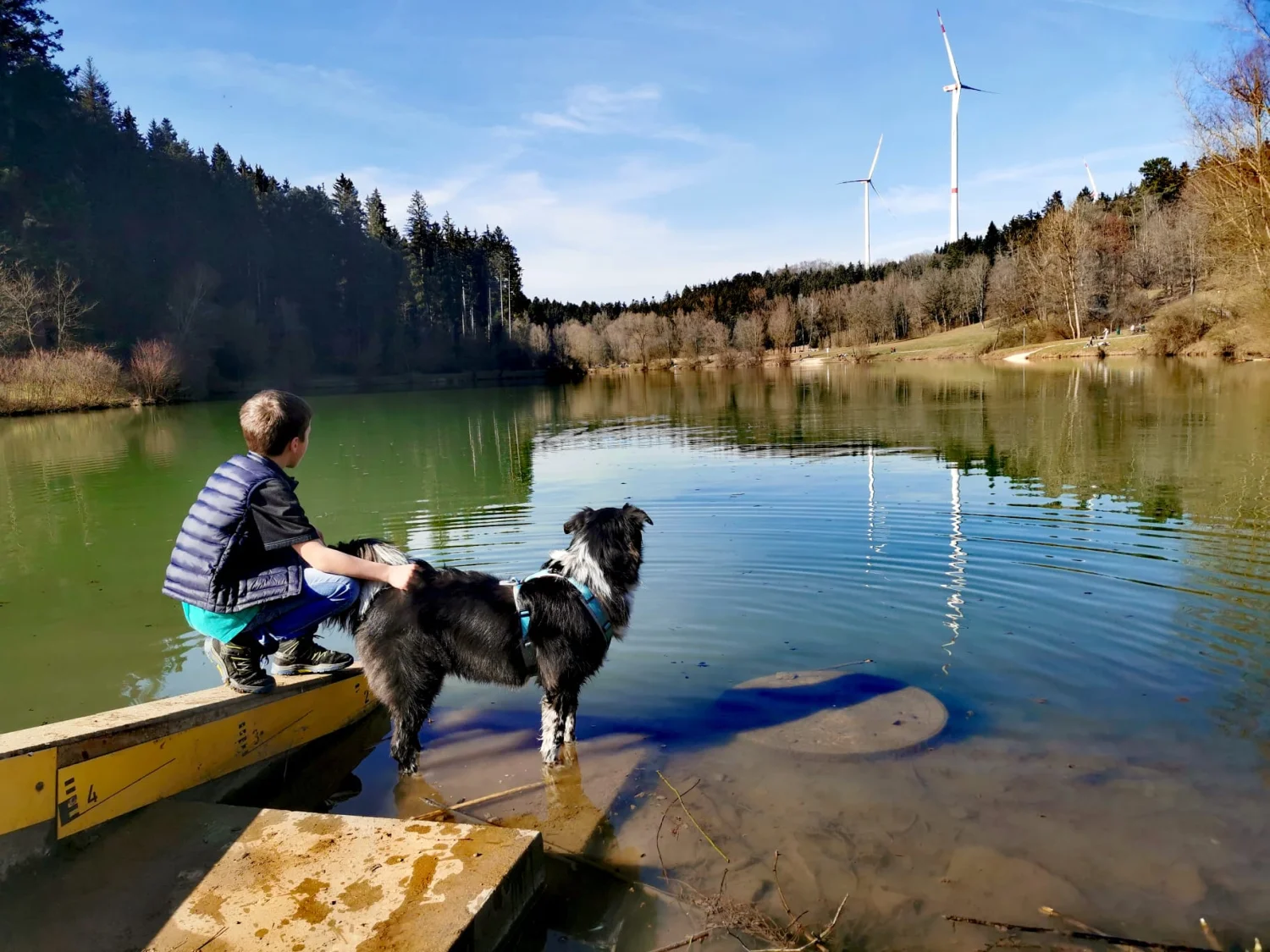 Kind spielt mit Hund von Gemeinsam stark