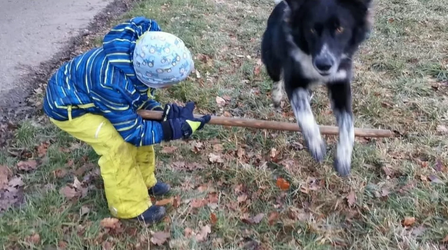 Kind spielt mit Hund von Gemeinsam stark